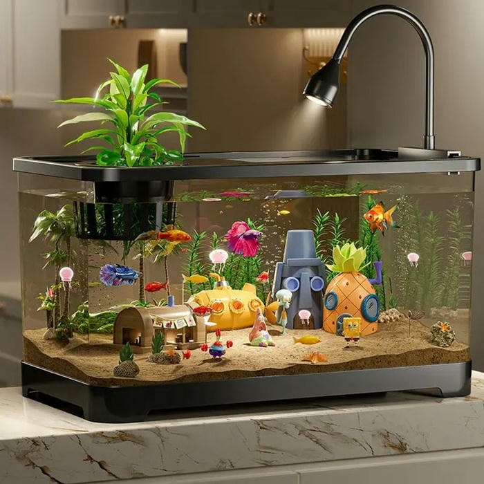 ảnh trang trí bể cá