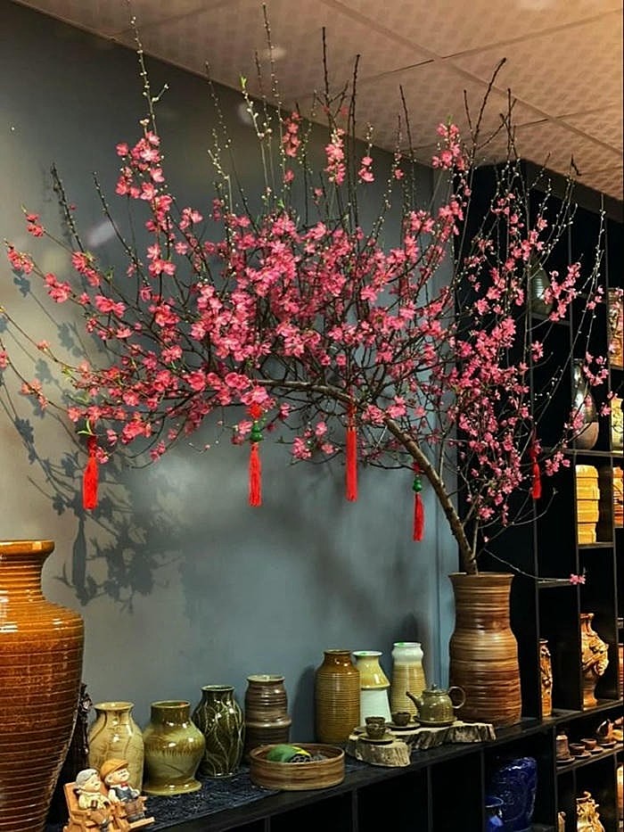 ảnh trang trí cây đào