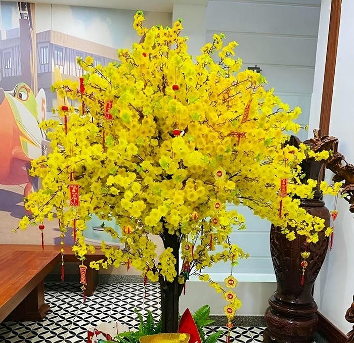 ảnh trang trí cây mai đẹp cực