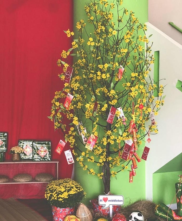 ảnh trang trí cây mai ngày tết đẹp nhất