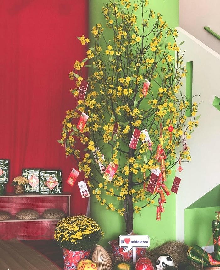 ảnh trang trí cây mai siêu đẹp