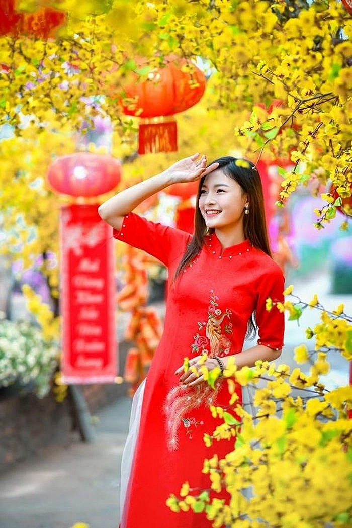 ảnh trang trí cây mai xinh
