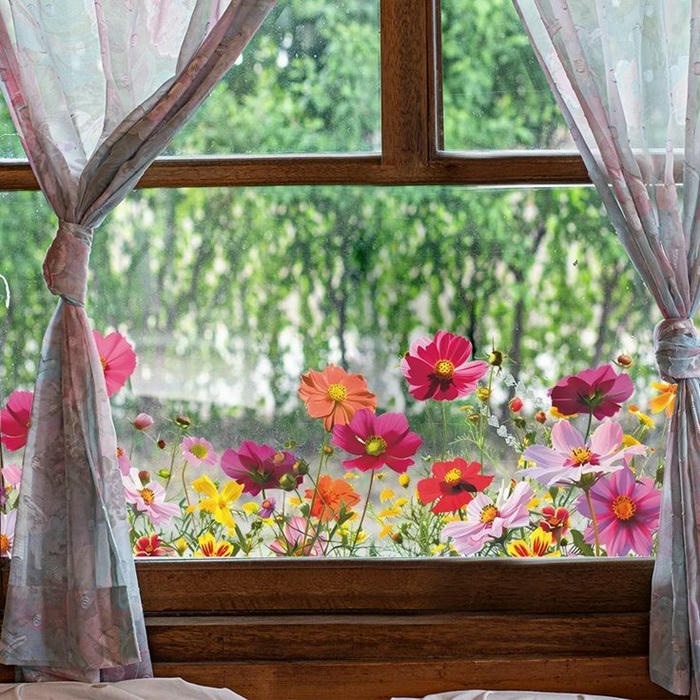 ảnh trang trí cửa sổ cực đẹp