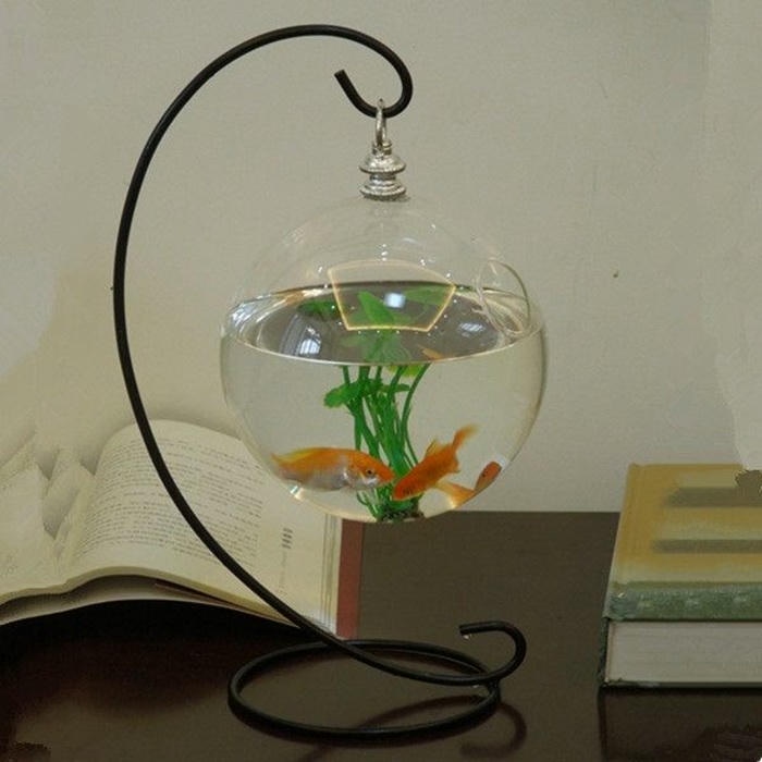 ảnh trang trí hồ cá mini
