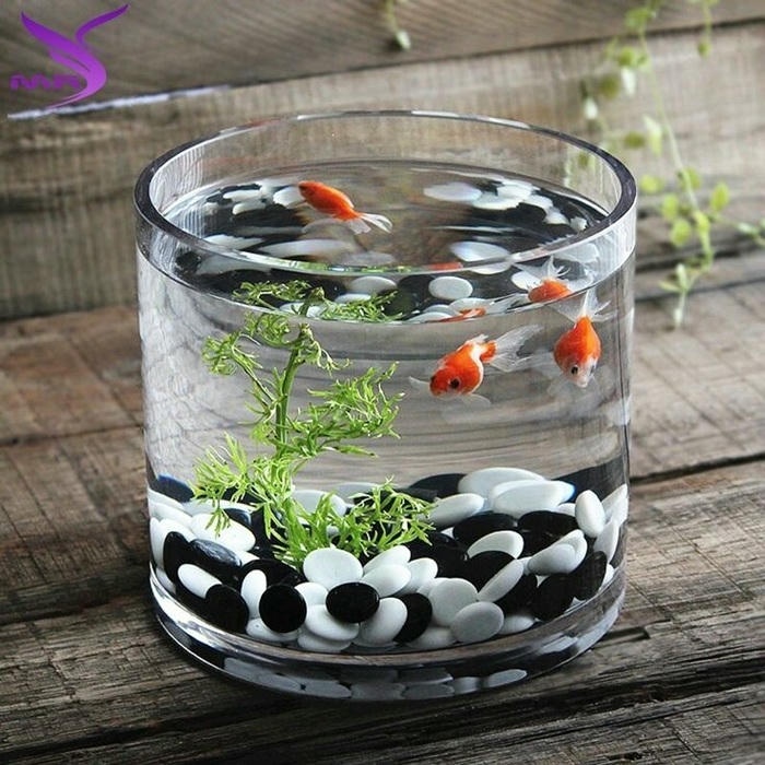 ảnh trang trí hồ cá mini cực đẹp