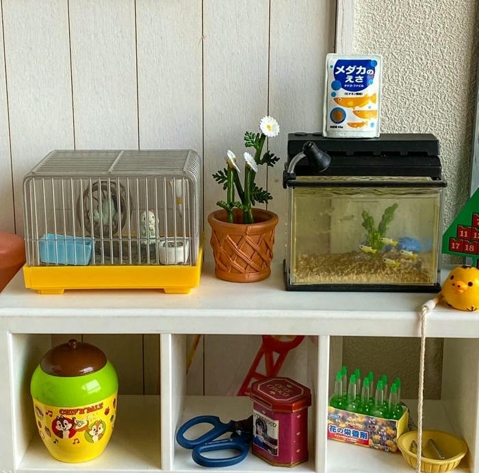 ảnh trang trí hồ cá mini cute