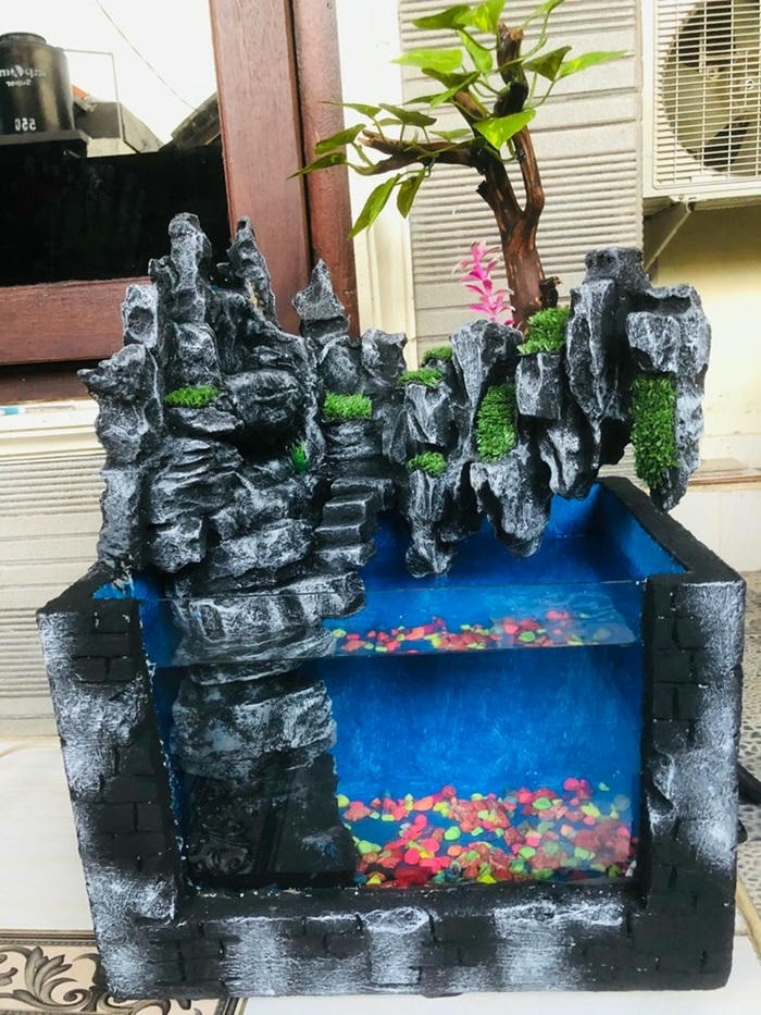 hình ảnh trang trí bể cá