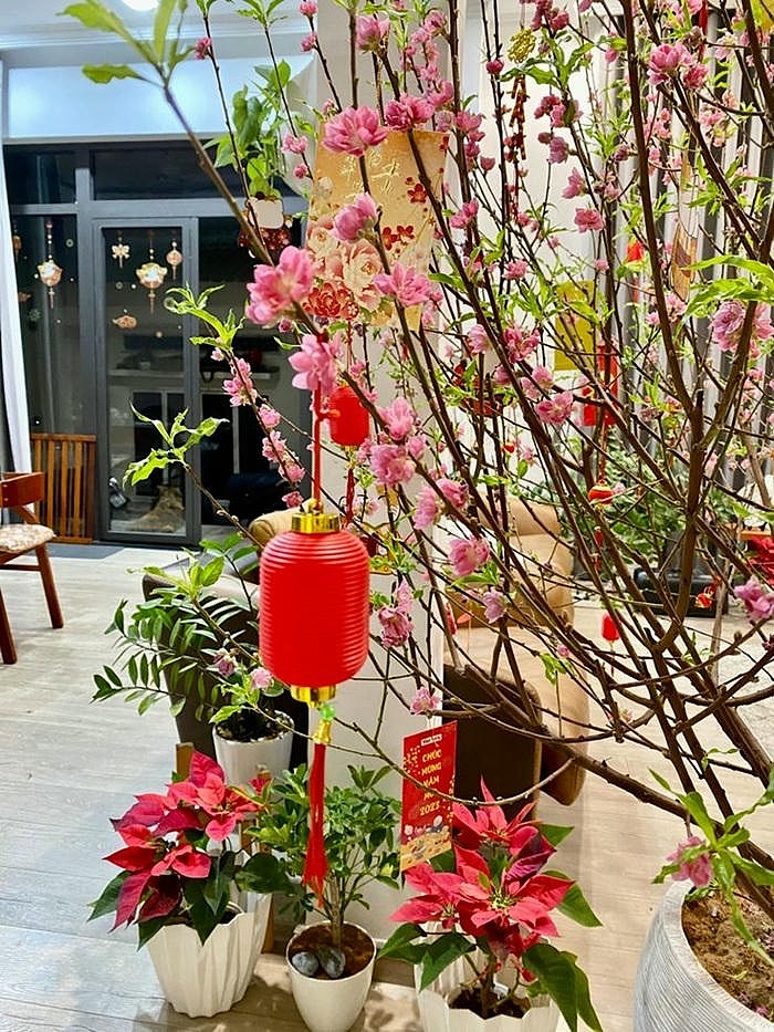hình ảnh trang trí cây đào đẹp nhất