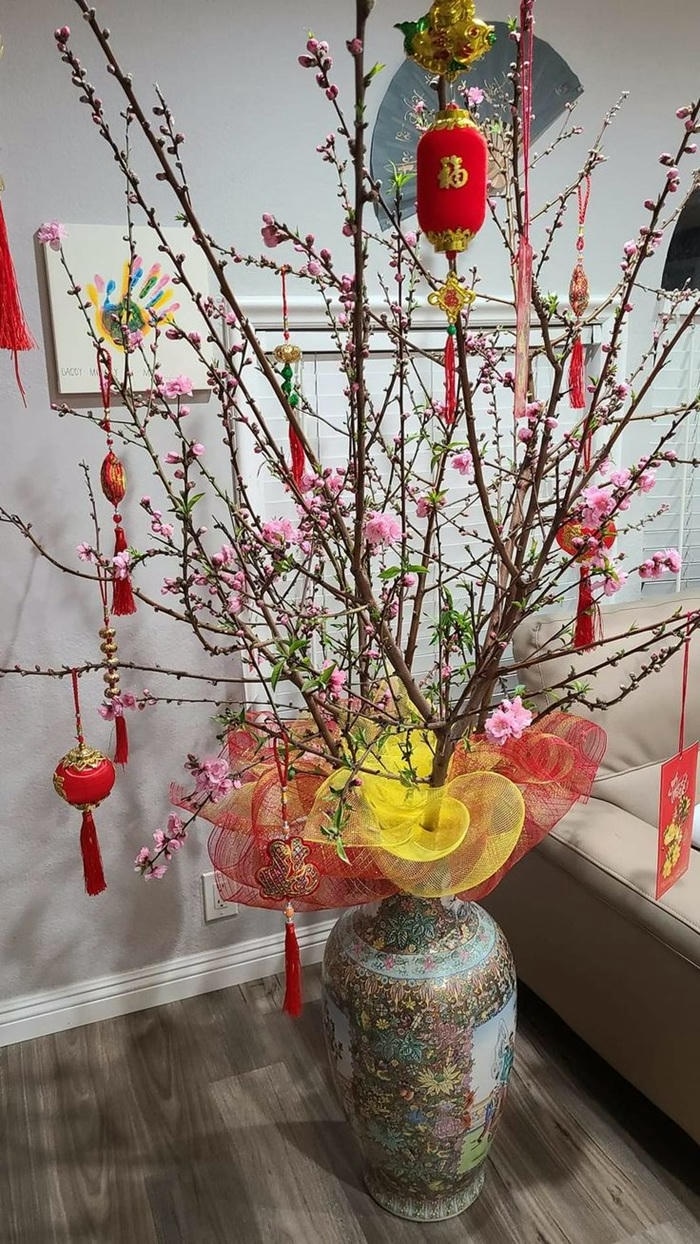 hình ảnh trang trí cây đào siêu đẹp