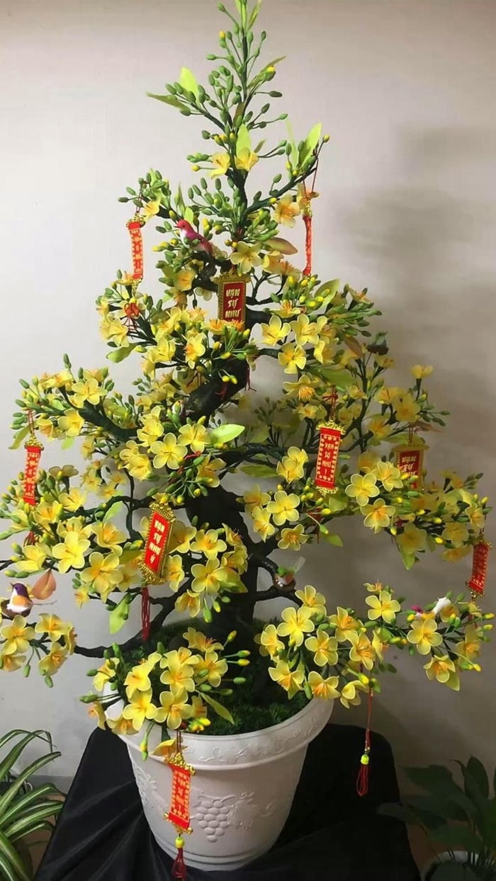 hình ảnh trang trí cây mai ngày tết cực xinh