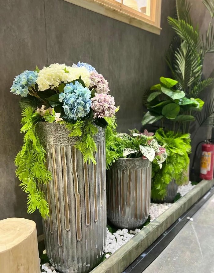 hình ảnh trang trí chậu cây đẹp nhất