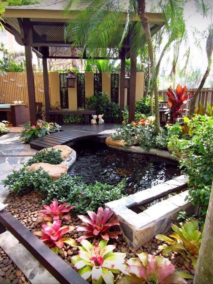 hình ảnh trang trí hồ cá đẹp nhất