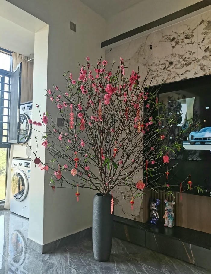hình trang trí cây đào cực đẹp