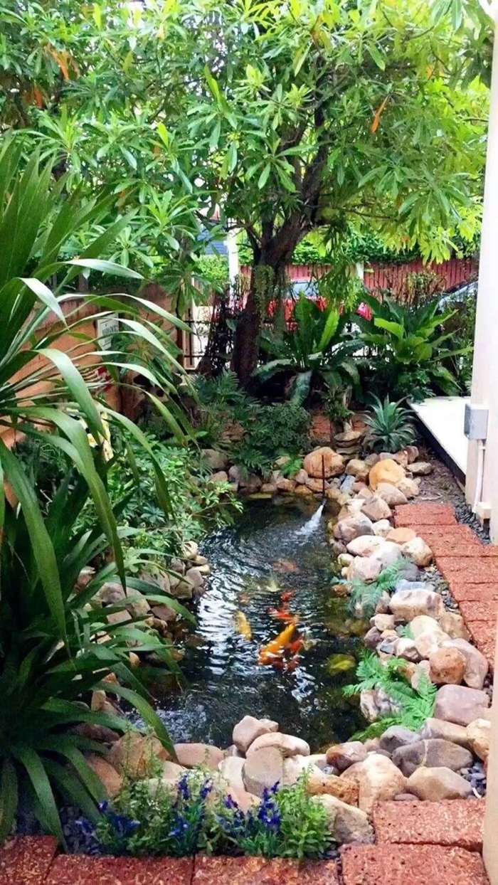 mẫu trang trí hồ cá cực đẹp