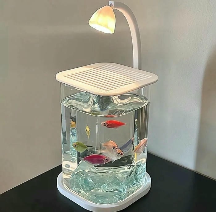 mẫu trang trí hồ cá mini