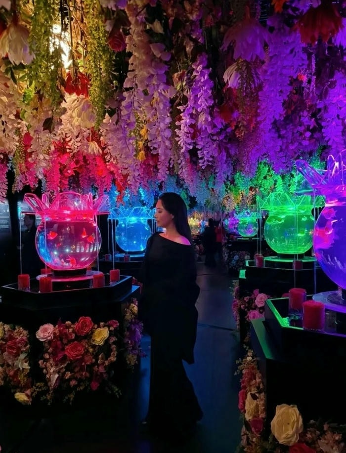 mẫu trang trí hồ cá mini cực đẹp