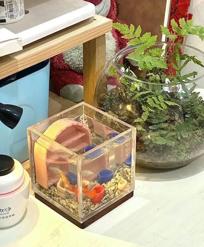 mẫu trang trí hồ cá mini đẹp
