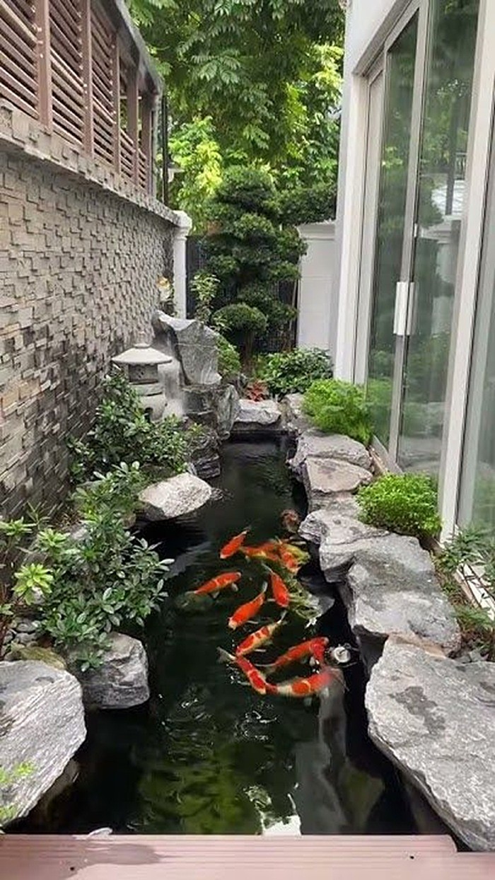 mẫu trang trí hồ cá
