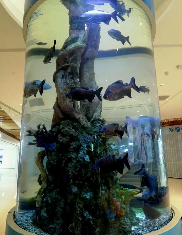 trang tri bê ca đẹp