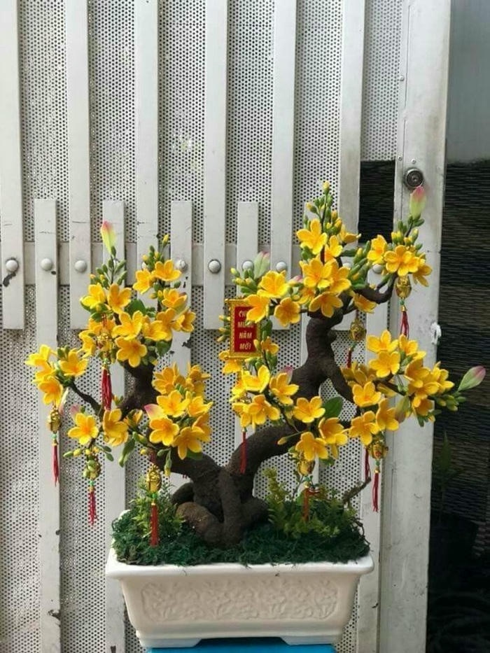 trang trí cây mai đẹp cực