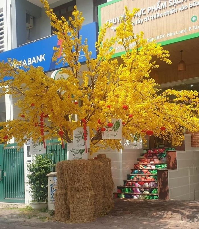 trang trí cây mai ngày tết cực đẹp