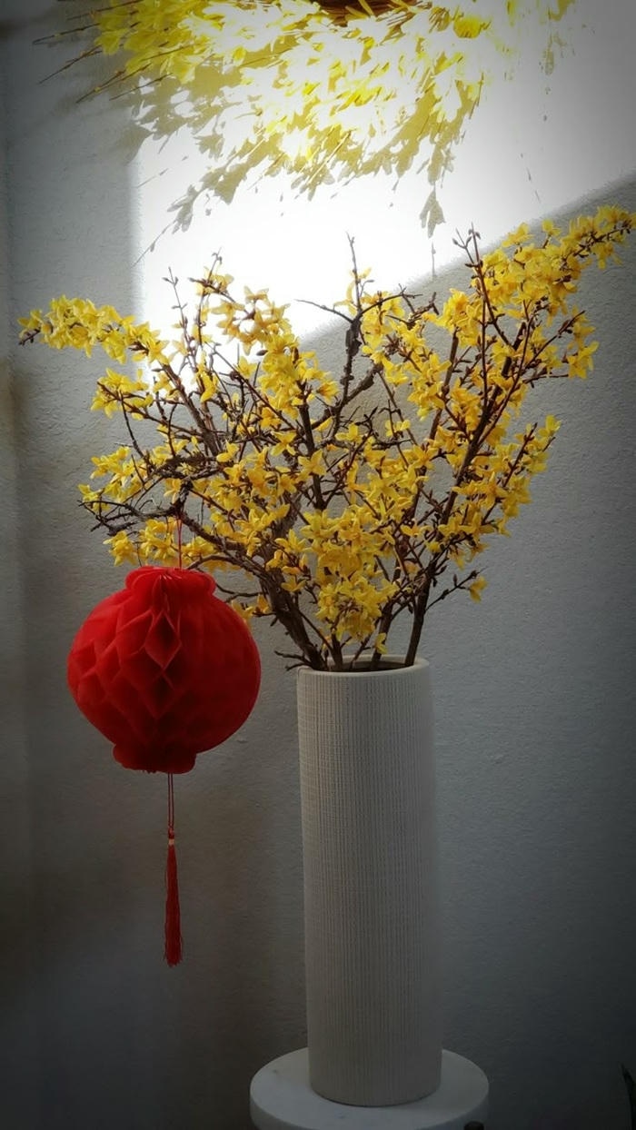 trang trí cây mai ngày tết đẹp