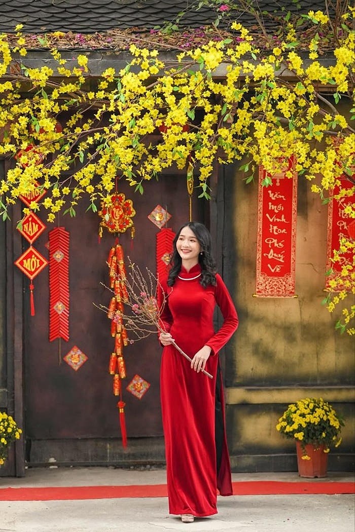 trang trí cây mai xinh
