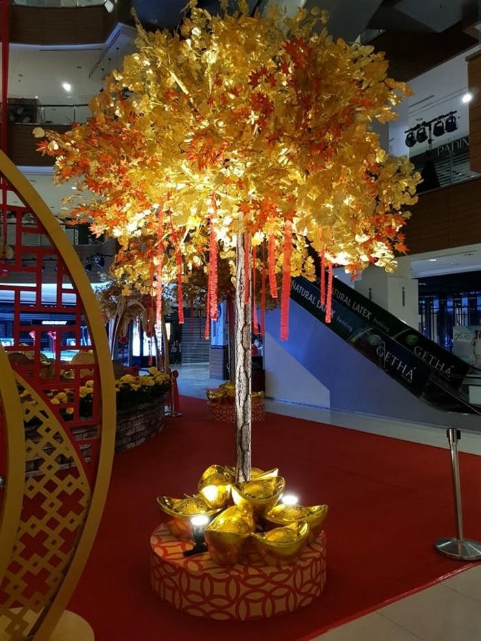 trang trí cây mai xinh cực