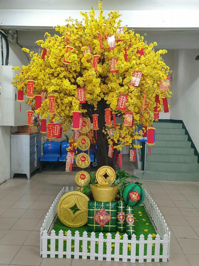 trang trí cây mai