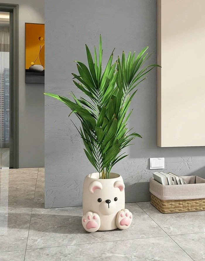 trang trí chậu cây cute cực