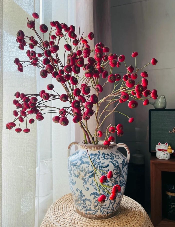 trang trí chậu cây siêu đẹp