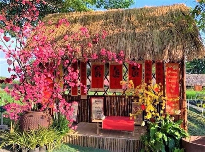trang trí gian hàng tết nhà tre cây đào