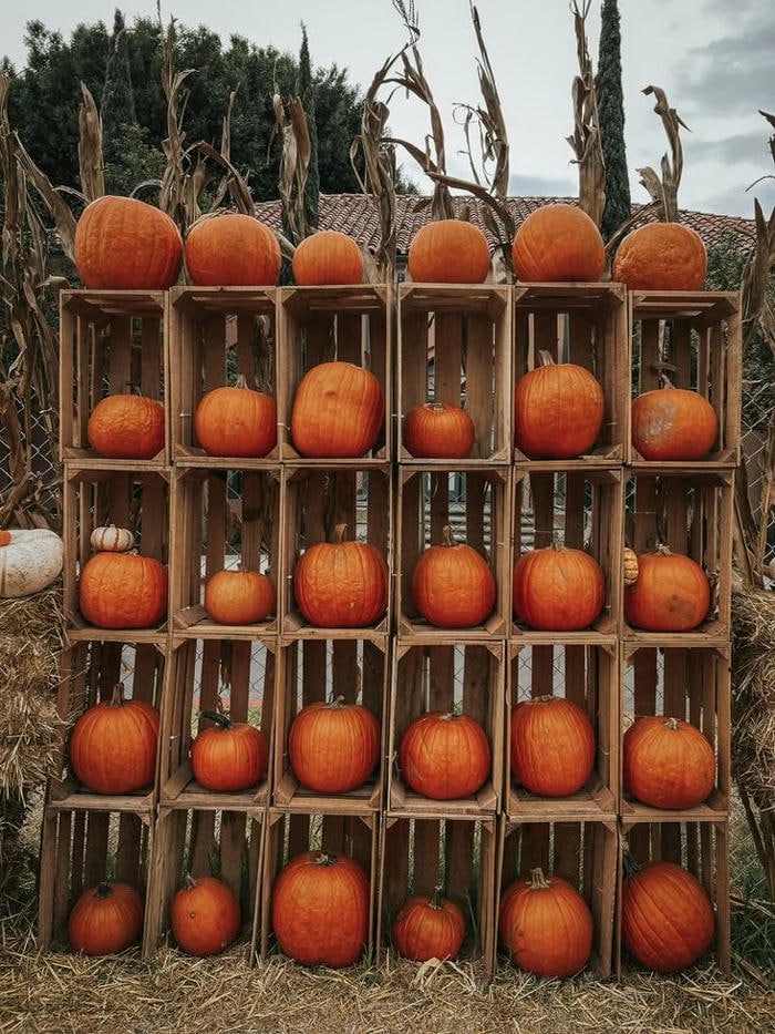trang trí halloween mầm non