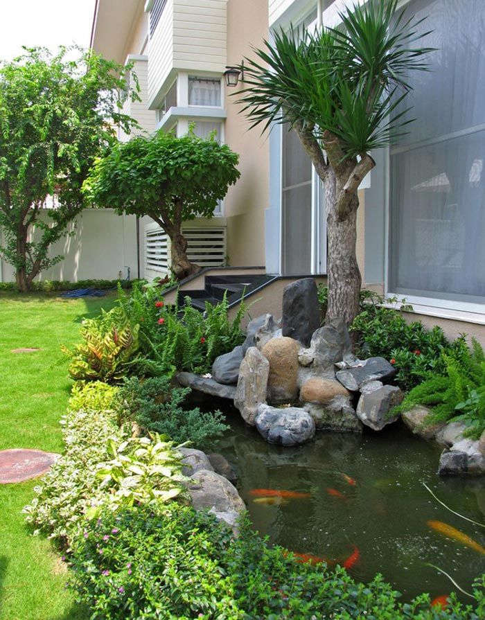 trang trí hồ cá cực đẹp