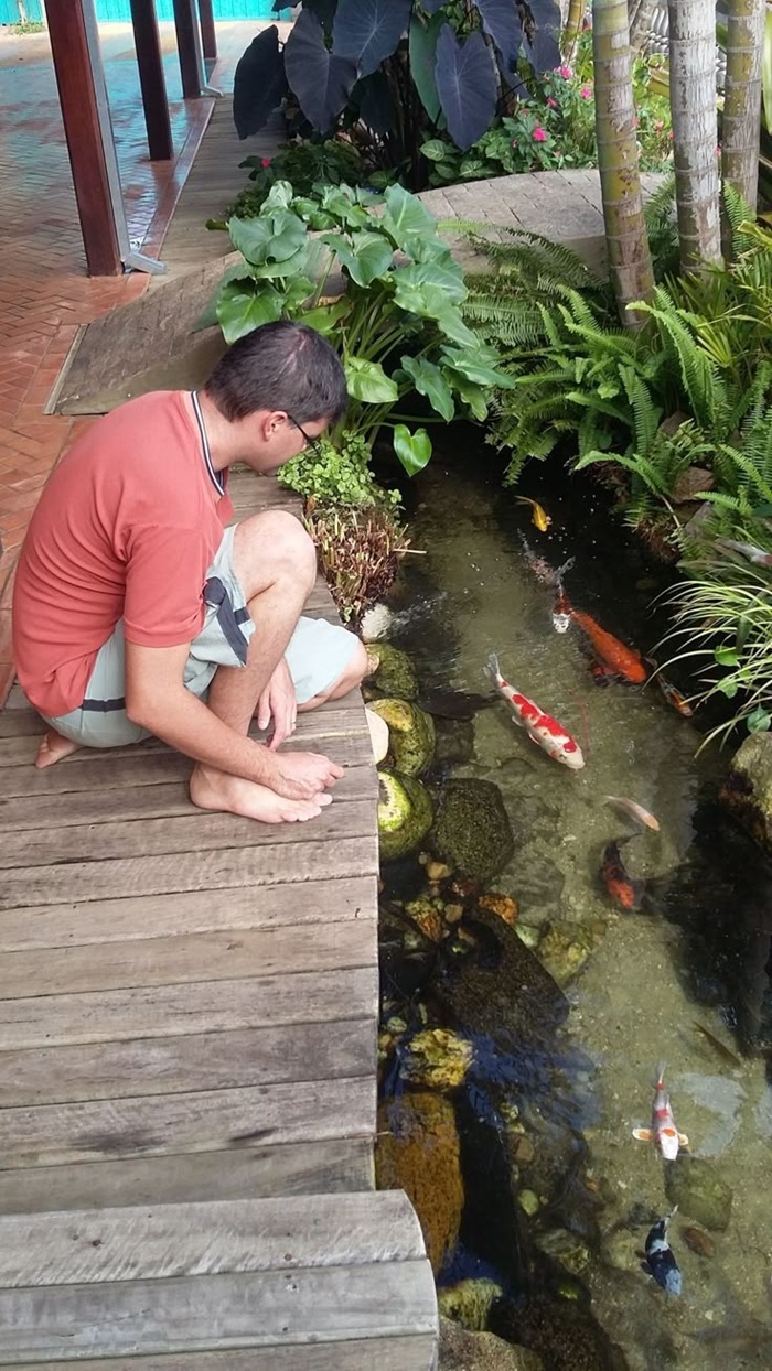 trang trí hồ cá đơn giản