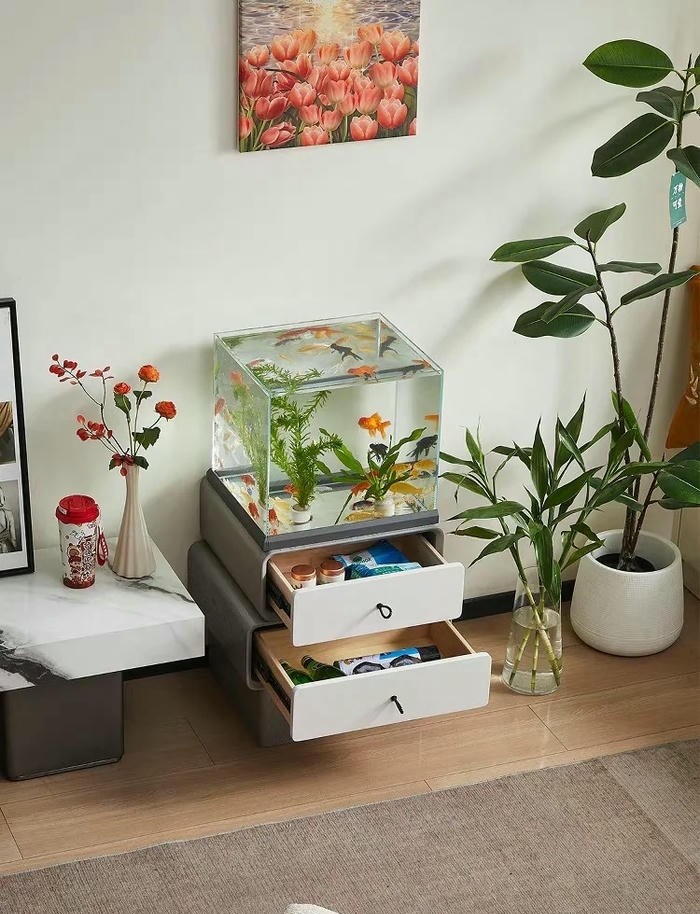 trang trí hồ cá mini