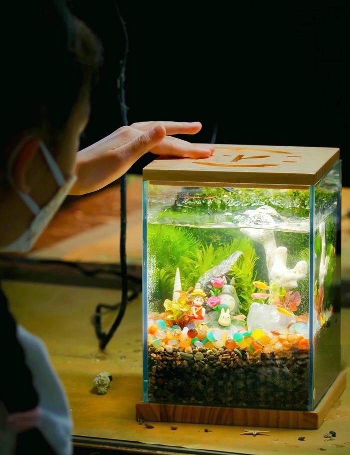trang tri ho ca mini cuc đep