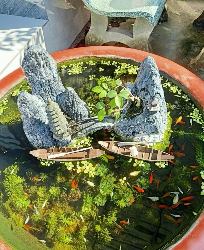 trang trí hồ cá mini đẹp nhất
