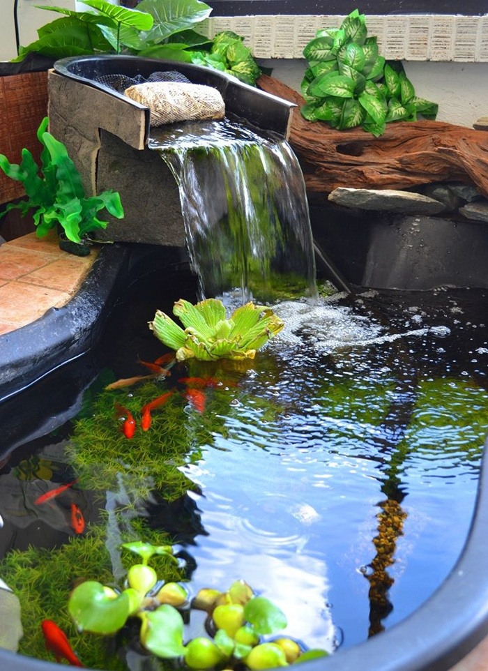 trang trí hồ cá