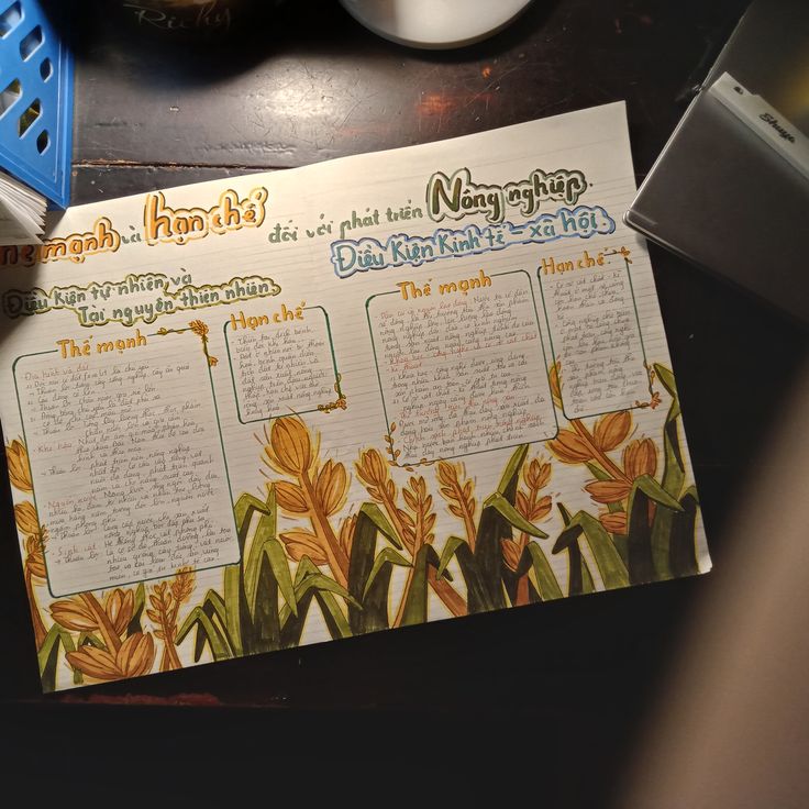 trang trí sơ đồ sáng