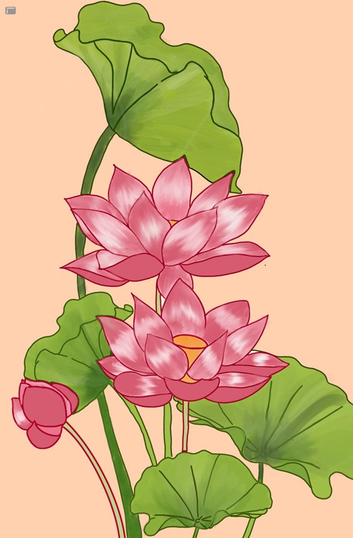 vẽ hoa trang trí hoa sen đẹp
