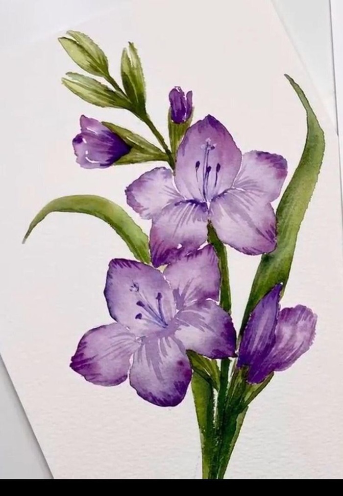 vẽ hoa trang trí lan tím