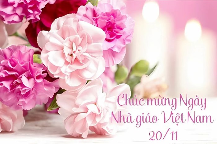 ảnh trang trí thiệp 20/11 đẹp nhất
