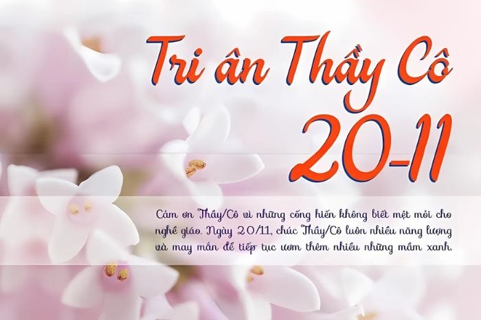 ảnh trang trí thiệp 20/11 siêu đẹp