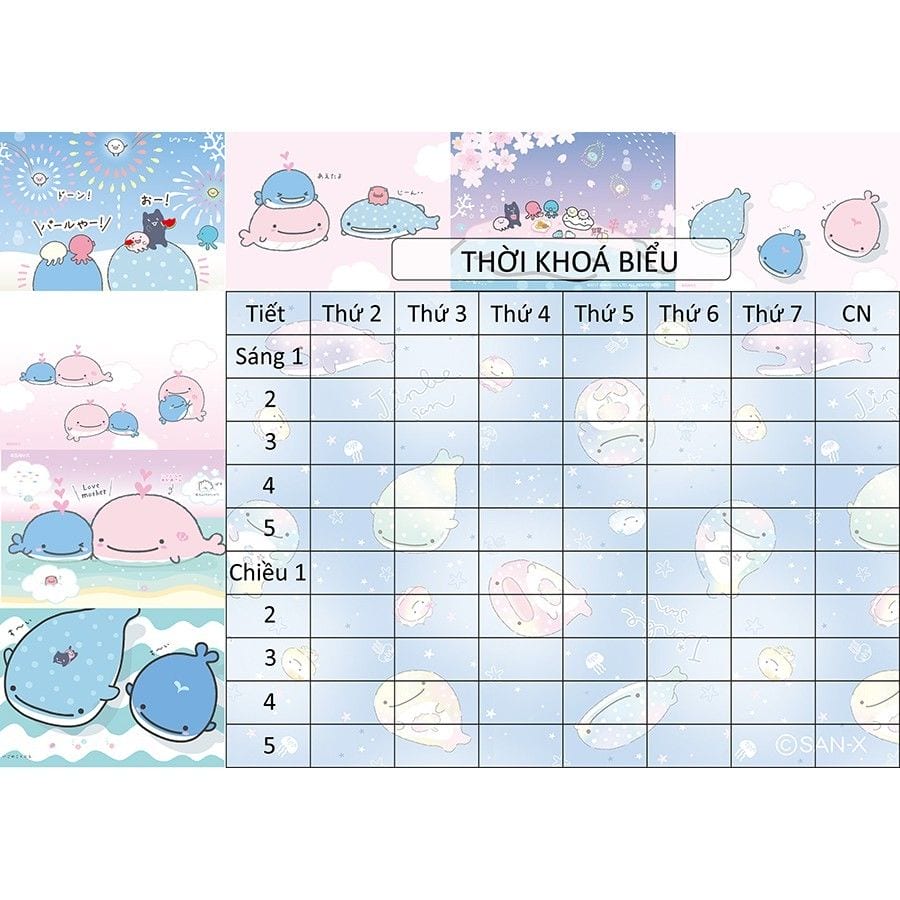 bố cục thời khóa lớp