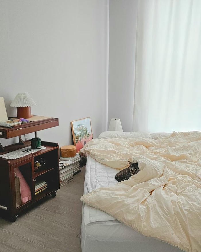 trang trí phòng trọ sinh viên nghèo siêu ngầu
