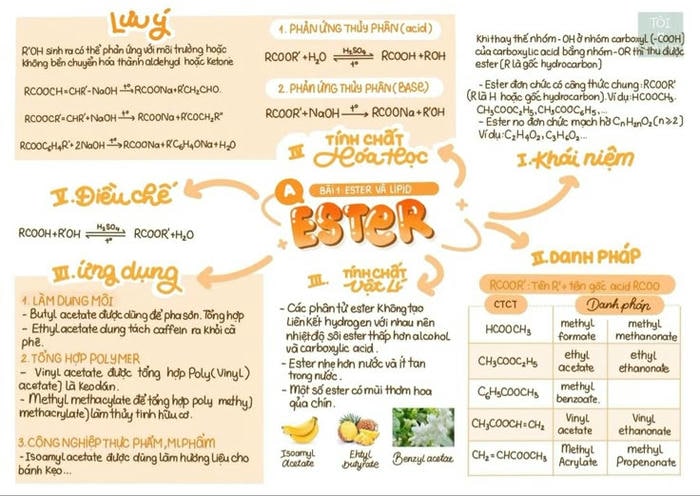 trang trí sơ đồ tư duy hóa học cực dễ thương