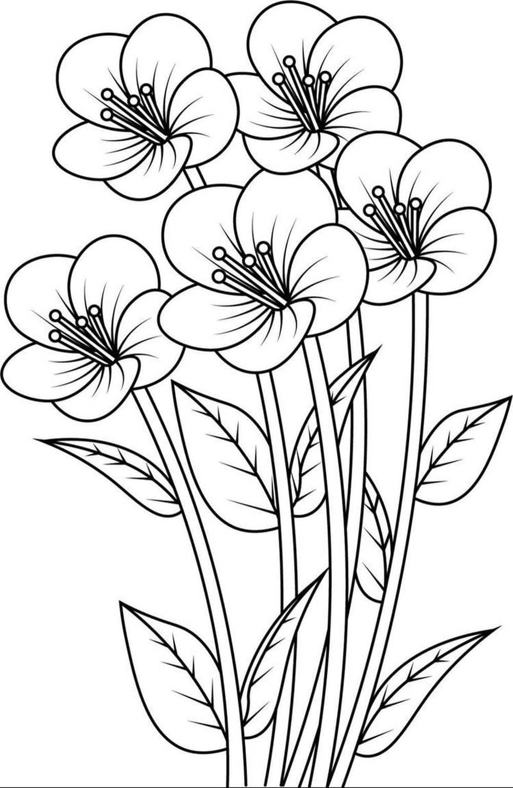 Tranh màu tô hoa bông