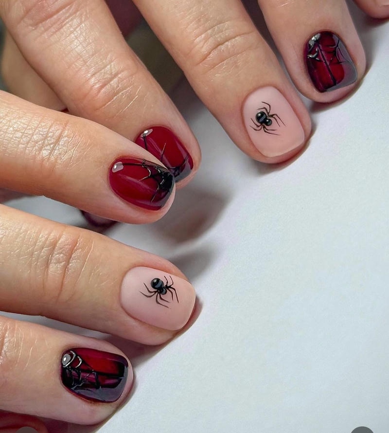 nail tay hình con vật đáng yêu
