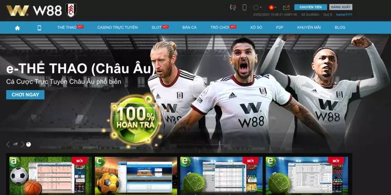 w88-trang-ca-do-quoc-te-uy-tin-hang-dau